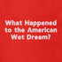 Dodo Tees Adult Humor Shirts that read What Happened to the American Wet Dream. The Funny Political T Shirts come in sizes S-3XL and make Funny Political Gifts.